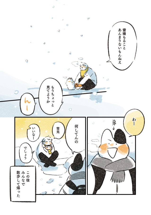じじ猫くらし