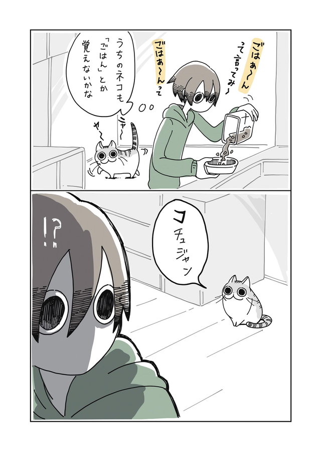 夜は猫といっしょ