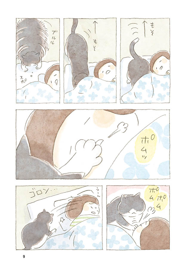 ケンちゃんと猫。ときどきアヒル