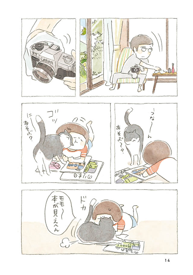 ケンちゃんと猫。ときどきアヒル