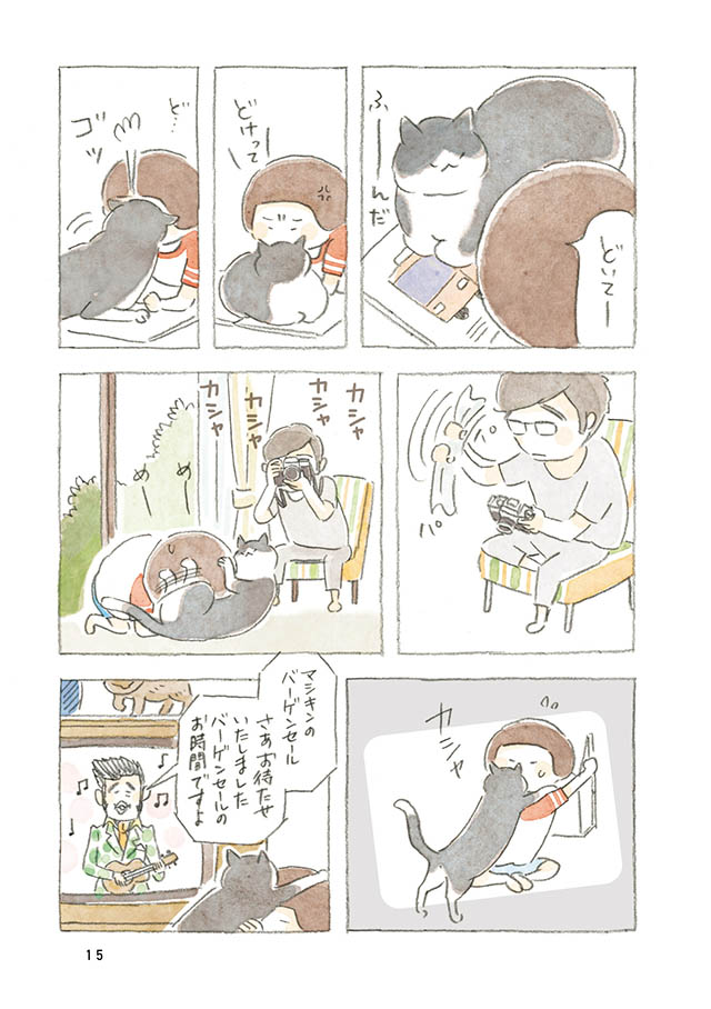 ケンちゃんと猫。ときどきアヒル