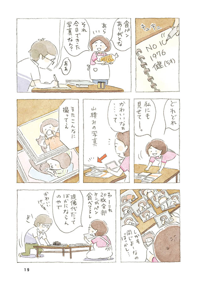 ケンちゃんと猫。ときどきアヒル