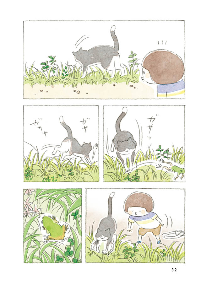 ケンちゃんと猫。ときどきアヒル