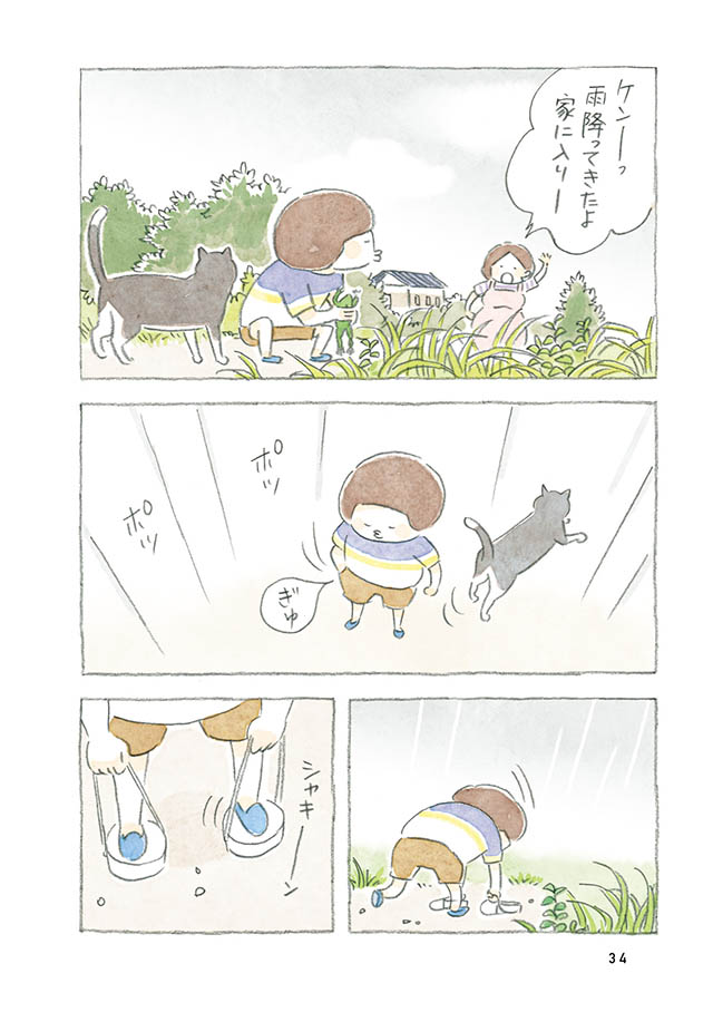 ケンちゃんと猫。ときどきアヒル