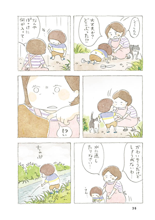 ケンちゃんと猫。ときどきアヒル