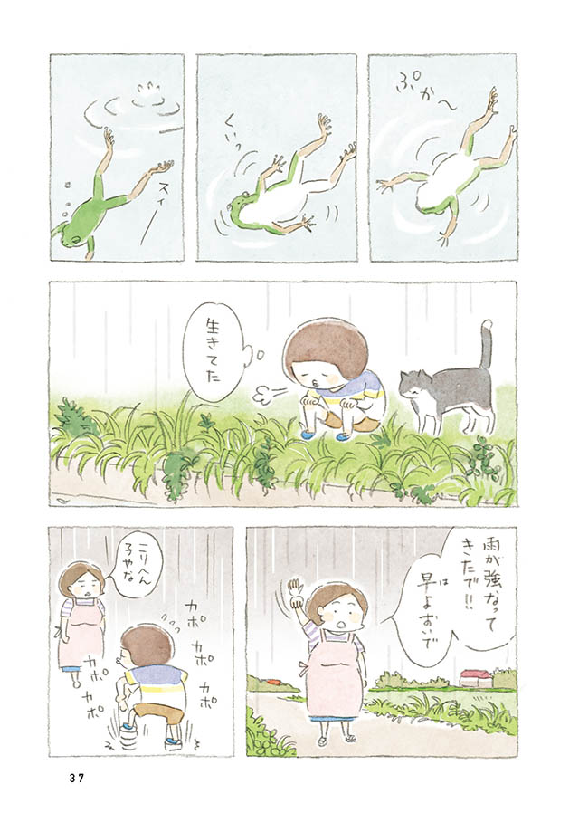 ケンちゃんと猫。ときどきアヒル