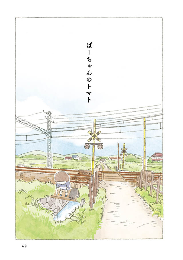 ケンちゃんと猫。ときどきアヒル