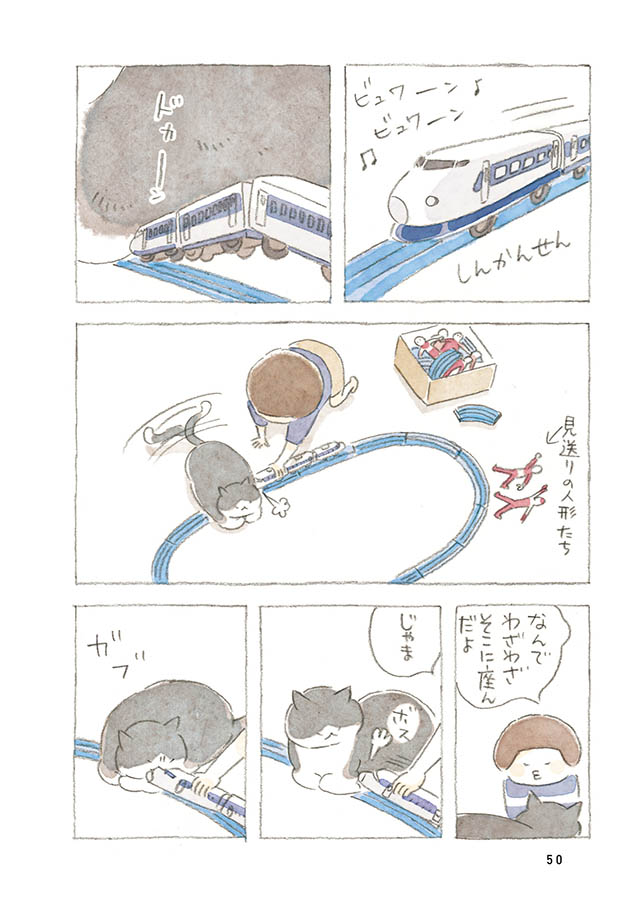 ケンちゃんと猫。ときどきアヒル