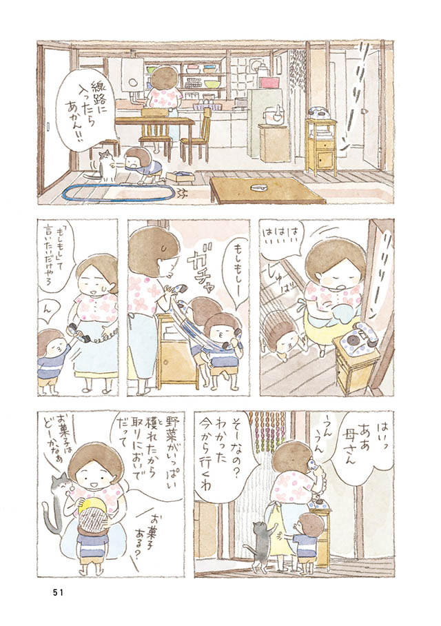 ケンちゃんと猫。ときどきアヒル