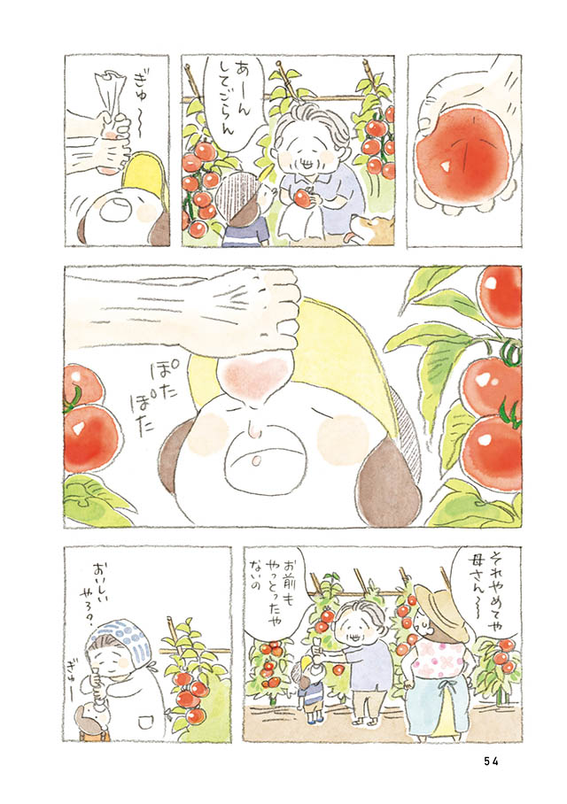 ケンちゃんと猫。ときどきアヒル