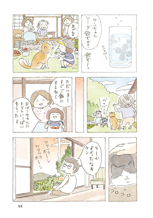 ケンちゃんと猫。ときどきアヒル