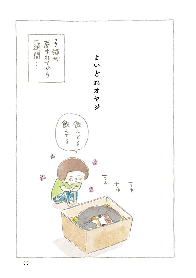 ケンちゃんと猫。ときどきアヒル