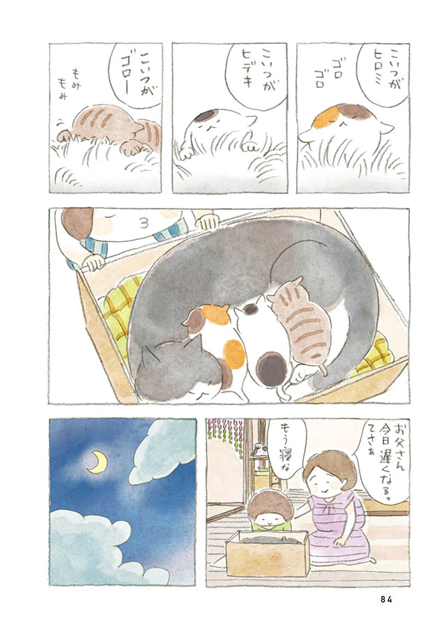 ケンちゃんと猫。ときどきアヒル