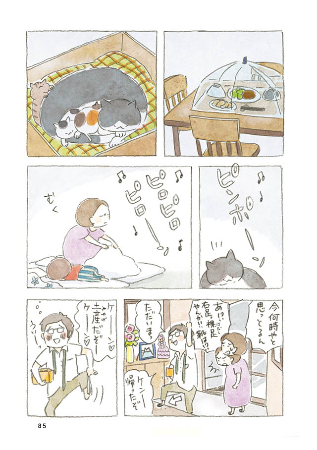ケンちゃんと猫。ときどきアヒル