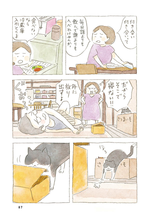 ケンちゃんと猫。ときどきアヒル