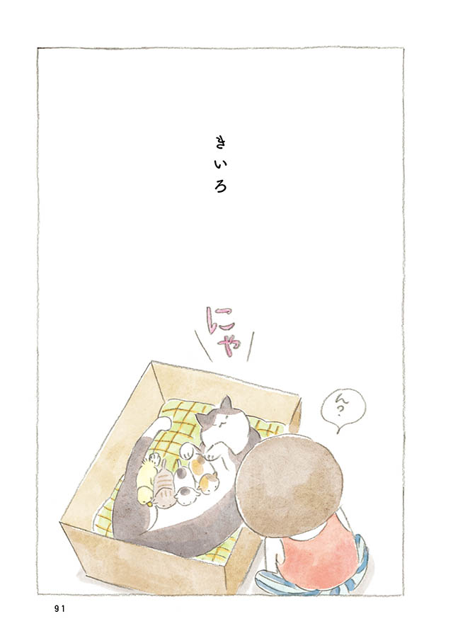 ケンちゃんと猫。ときどきアヒル