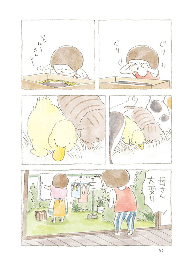 ケンちゃんと猫。ときどきアヒル