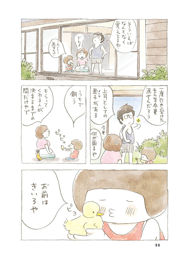 ケンちゃんと猫。ときどきアヒル