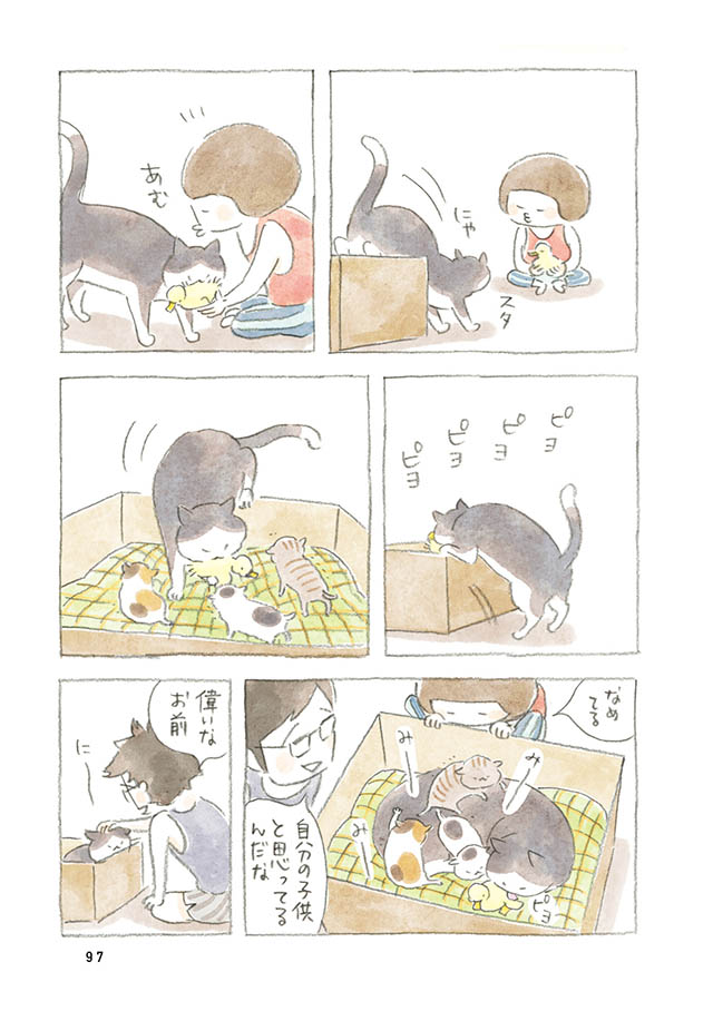 ケンちゃんと猫。ときどきアヒル