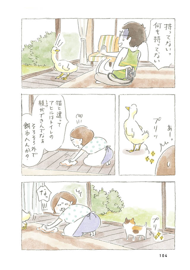 ケンちゃんと猫。ときどきアヒル