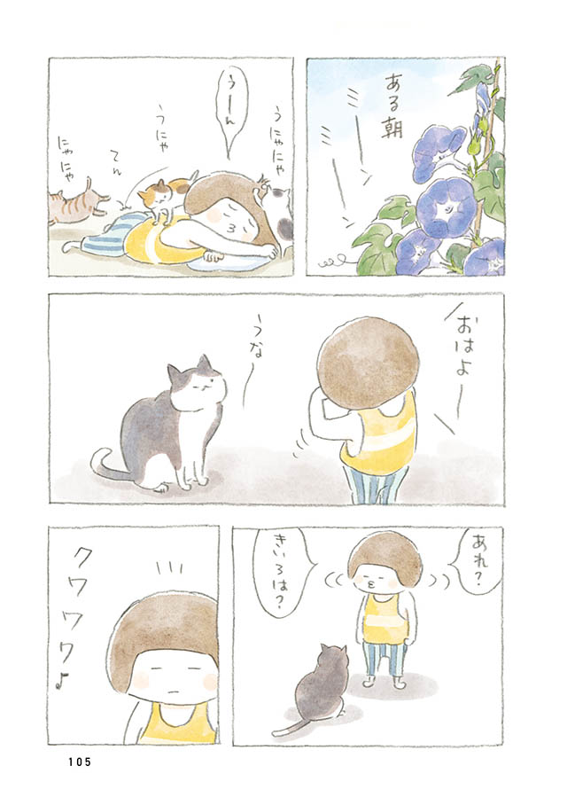 ケンちゃんと猫。ときどきアヒル