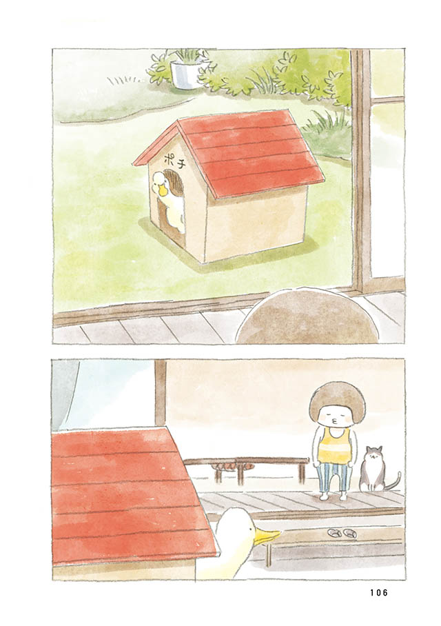 ケンちゃんと猫。ときどきアヒル