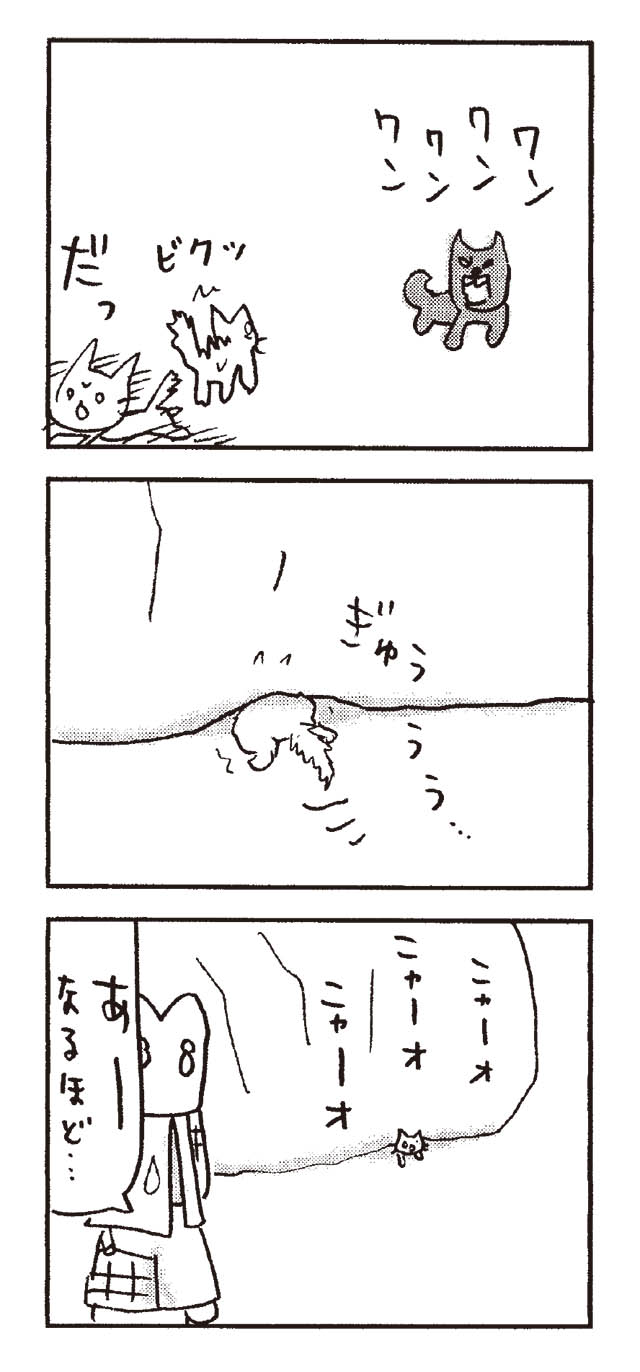 猫だからね