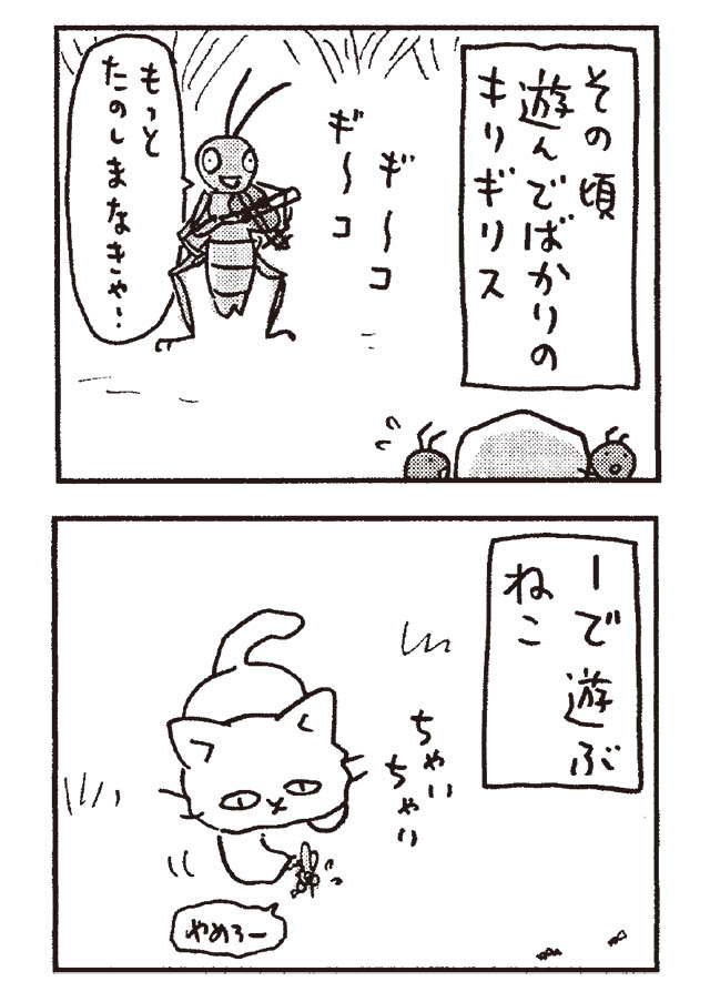 猫だからね