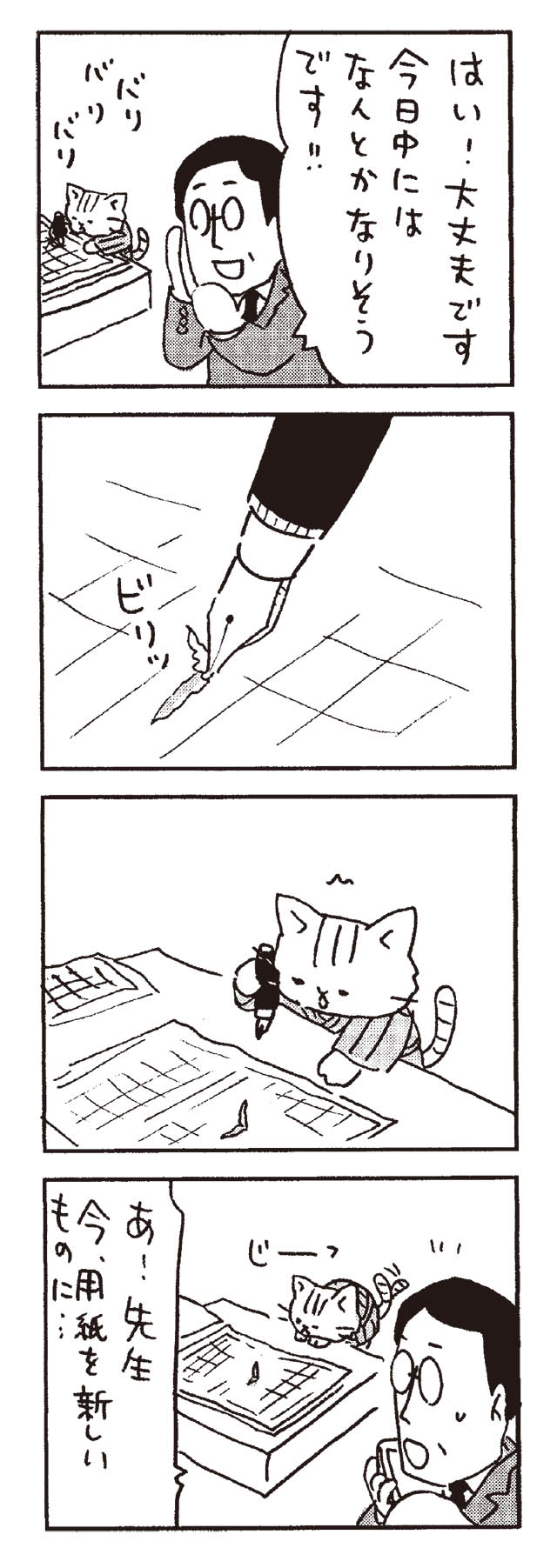 猫だからね