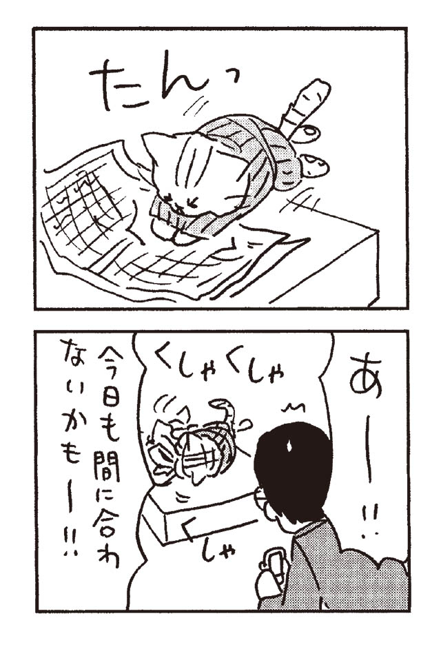 猫だからね