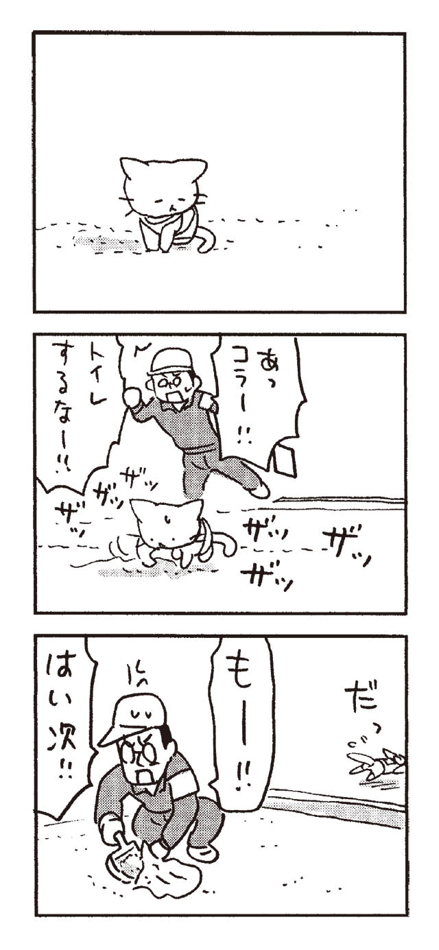 猫だからね