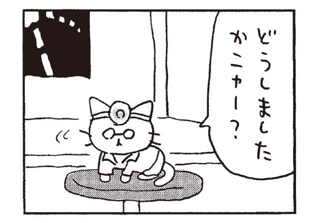 猫だからね