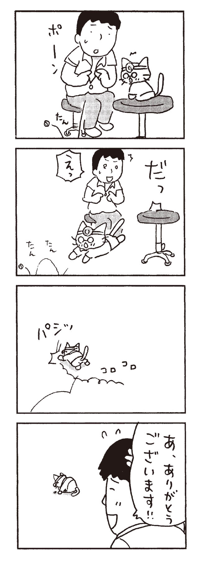 猫だからね