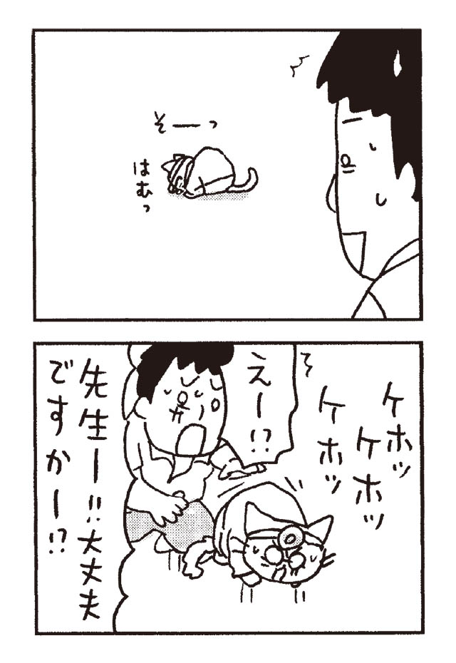 猫だからね