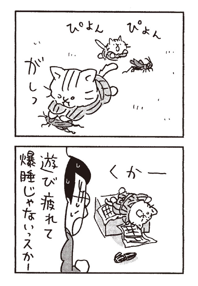 猫だからね