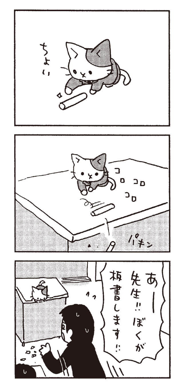 猫だからね