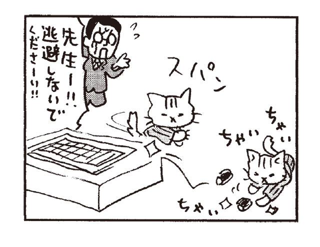 猫だからね