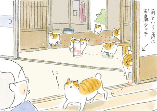 小林牧牛氏作品　猫と小鳥　本の上でお昼寝 小林牧牛氏作品 猫と小鳥 本の上でお昼寝 - メルカリ