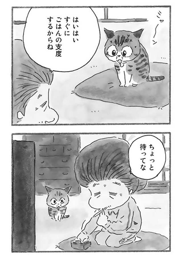 トラ猫とタバコ屋のばあちゃん