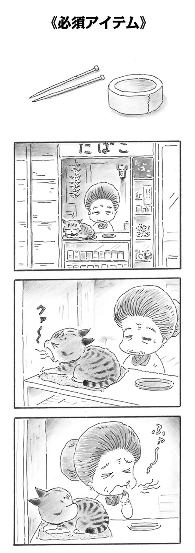 トラ猫とタバコ屋のばあちゃん