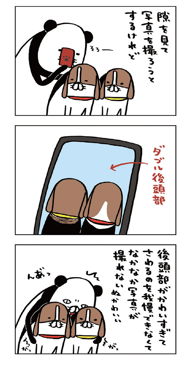 パンダと犬V