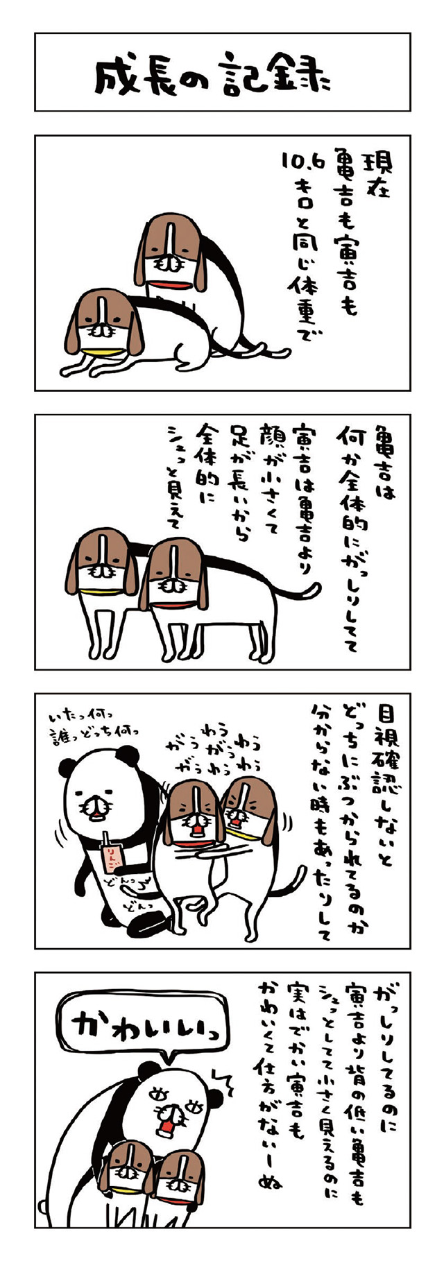 パンダと犬V