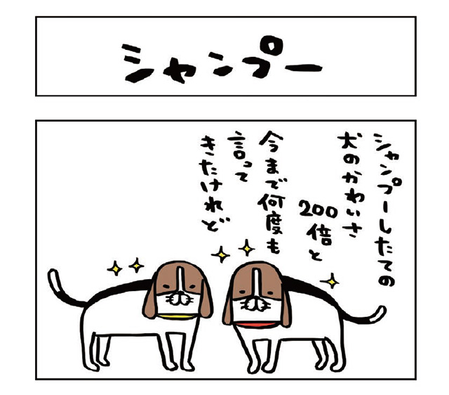 パンダと犬V