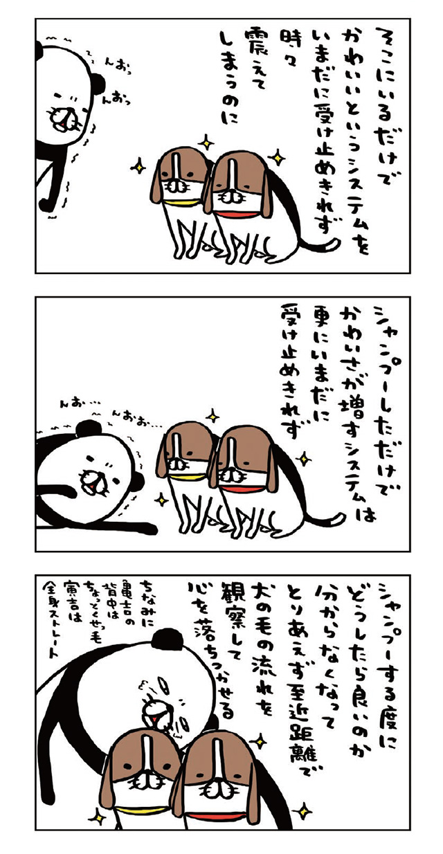 パンダと犬V
