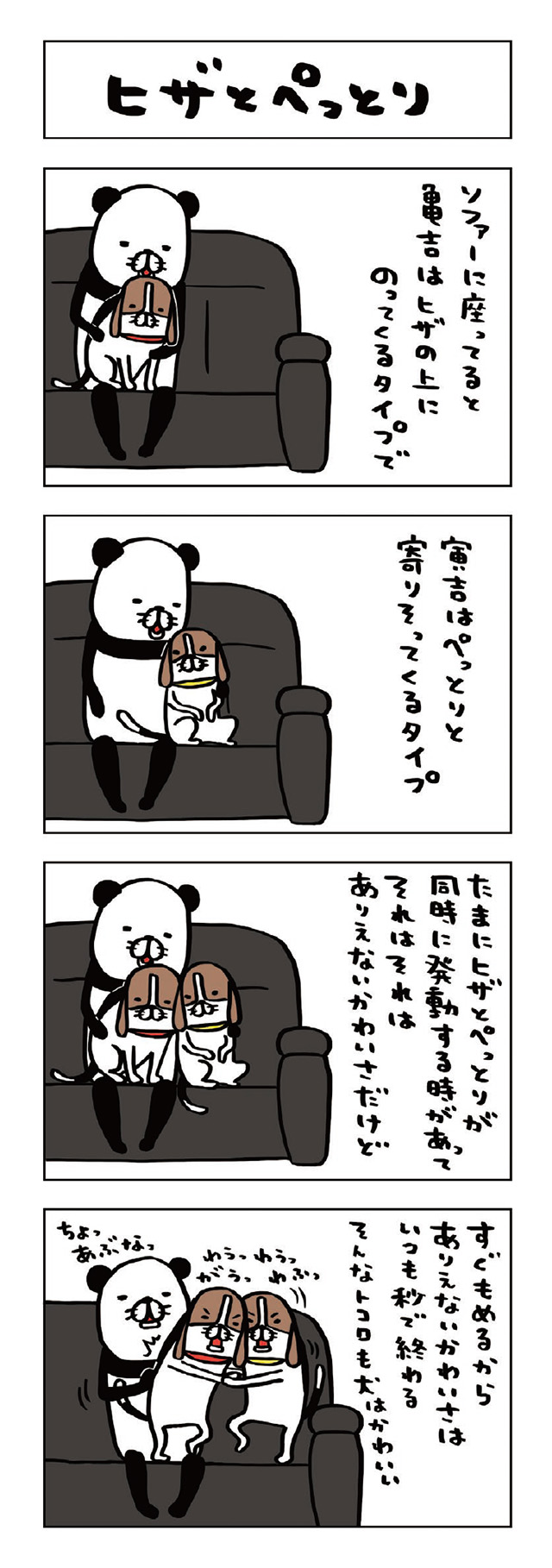 パンダと犬V