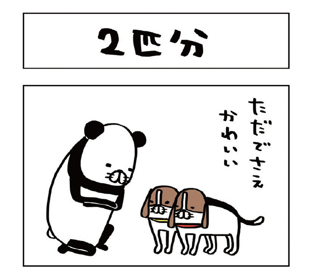 パンダと犬V