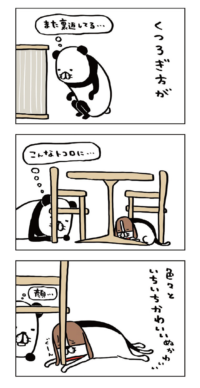 パンダと犬V
