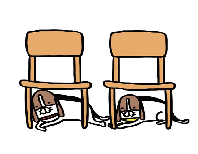 パンダと犬V