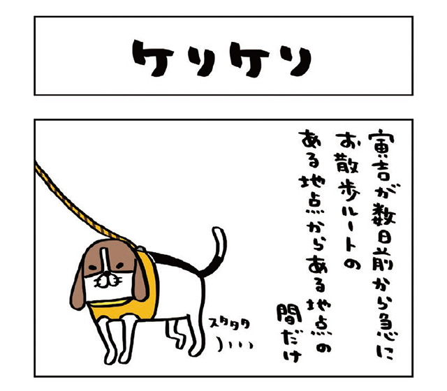 パンダと犬V