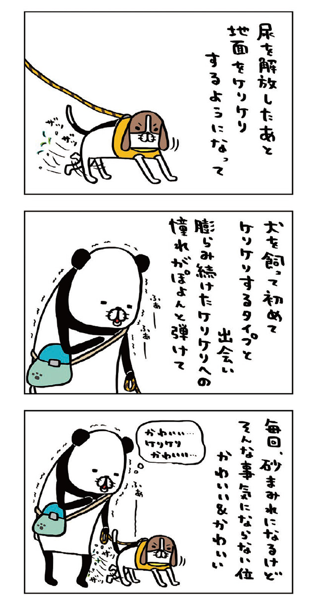 パンダと犬V
